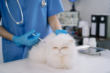 Veterinarian - cat receiving medication.