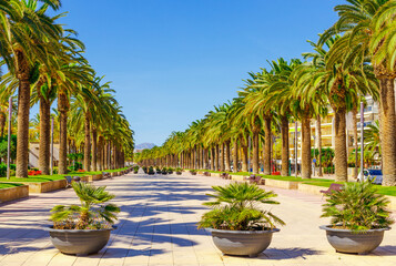 Promenade with palm trees in Salou city, Spain, Europe. Sunny summer - obrazy, fototapety, plakaty