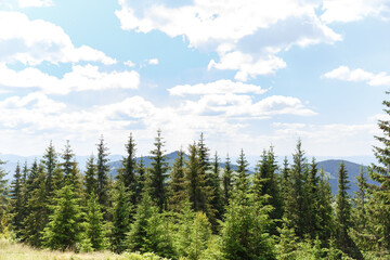 Fototapeta premium amazing views of the earth planet, mountains and forests of Ukraine, Ukrainian carpathians, mountain view, mountains Carpathian, Ukraine 