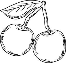 sketch cherry
