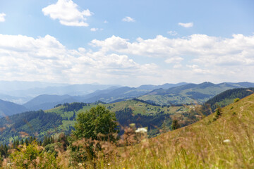 amazing views of the earth planet, mountains and forests of Ukraine, ukrainian carpathians, mountain view, mountains Carpathian. Ukraine
