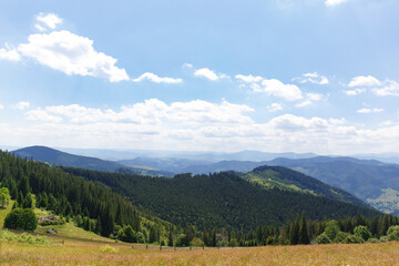 Fototapeta na wymiar amazing views of the earth planet, mountains and forests of Ukraine, ukrainian carpathians, mountain view, mountains Carpathian. Ukraine