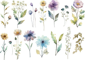 Vector watercolor painted flower. Hand drawn flower design elements isolated on white background.