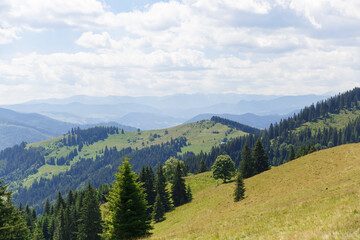 amazing views of the earth planet, mountains and forests of Ukraine, ukrainian carpathians, mountain view, mountains Carpathian. Ukraine