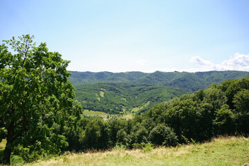 Obraz premium amazing views of the earth planet, mountains and forests of Ukraine, ukrainian carpathians, mountain view, mountains Carpathian. Ukraine