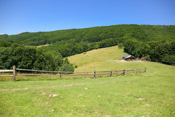 amazing views of the earth planet, mountains and forests of Ukraine, Ukrainian carpathians, mountain view, mountains Carpathian, Ukraine, house in the mountains, mountain valley
