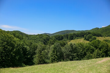 Obraz premium amazing views of the earth planet, mountains and forests of Ukraine, ukrainian carpathians, mountain view, mountains Carpathian. Ukraine