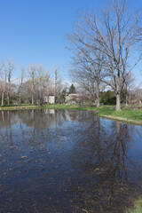 Fototapeta na wymiar 公園の池と春の木々
