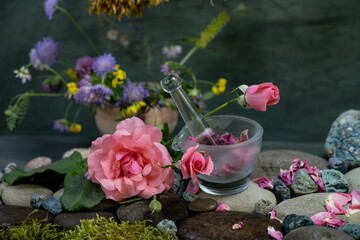 dermatology, young, cream, rejuvenation, dermatologist, cosmetology, delicate, blooming, bunch, holiday, gift, medical, aromatic, flower arrangement, postcard, aromatherapy, medicinal, health care, or