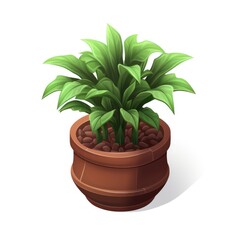 Fototapeta premium The Green Life in a Pot: Botanical Art