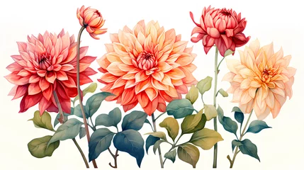  set of watercolor flowers, leaves, watercolor hand painted illustration © EvhKorn