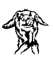 Funny and hilarious peeking goat SVG vector graphic and cut file sheep