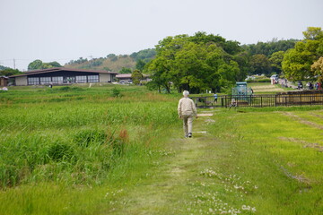 雑草の生い茂るあぜ道を歩く老人