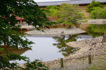 新緑の紅葉と池のある日本庭園