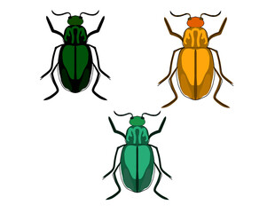 Colorful beetles, Insects Set, Isolated