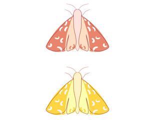 Colorful Moths, Insects Set, Isolated