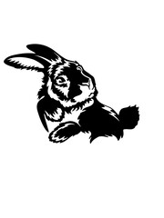 Funny and hilarious peeking rabbit SVG vector graphic and cut file 