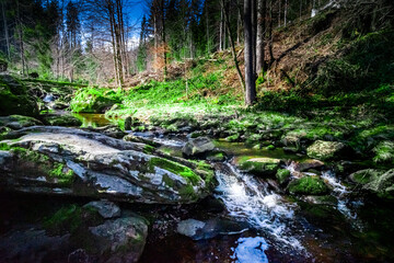 Hiking Through the Steinbach Gorge near Spiegelau in the Bavarian Forests Germany