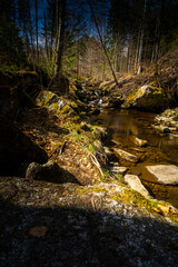 Hiking Through the Steinbach Gorge near Spiegelau in the Bavarian Forests Germany