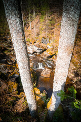 Hiking Through the Steinbach Gorge near Spiegelau in the Bavarian Forests Germany