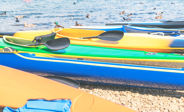 a few colorful kayaks resting on a lakeshore in the public park on summer days