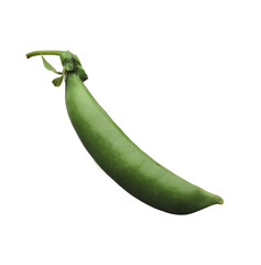 Green pea pod. Isolated image on a white background. 