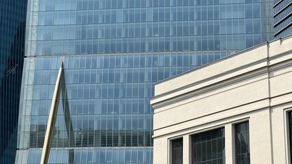 Modern Architectural Contrast