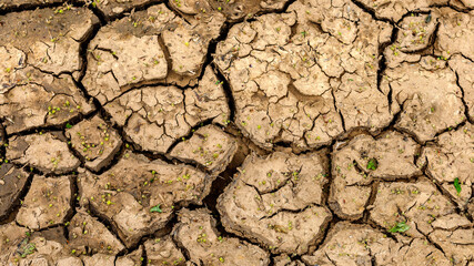 Dry cracked soil texture and background. Grunge soil background. Abstract ground.