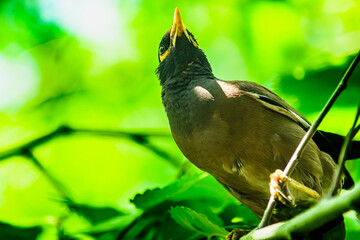Birds posing for the camera