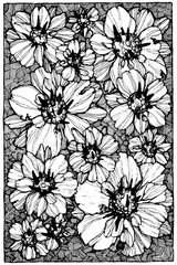 Floral frame illustration, Botanical frame, flowers background, greetings design