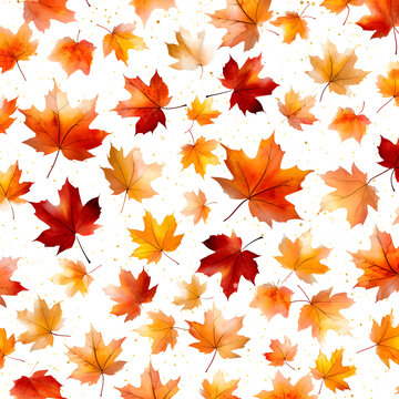 Autumn pattern maple leaves on white background. Autumn wallpaper decoration.