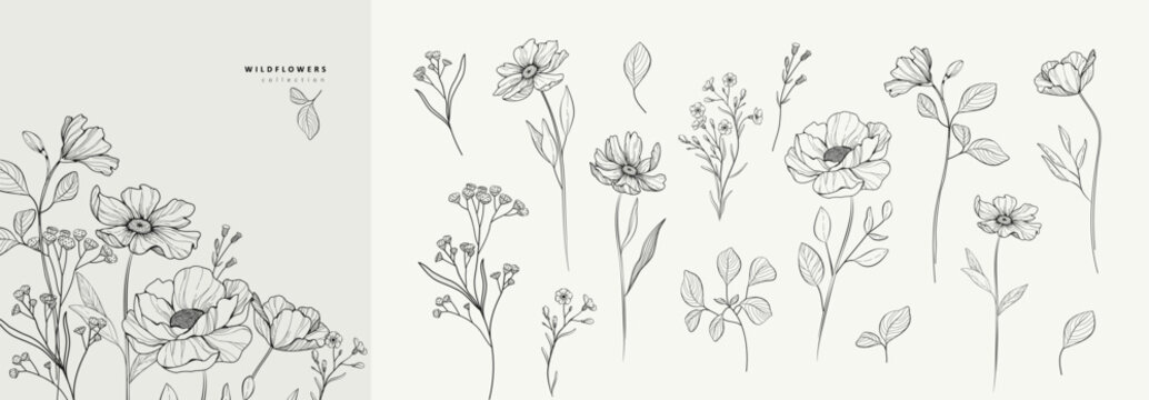 Floral branch and minimalist flowers for logo or tattoo. Hand drawn line wedding herb, elegant leaves