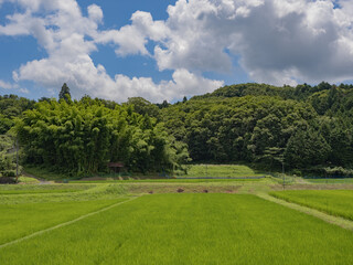 Fototapeta na wymiar 奈良県針ヶ別所町の田園風景
