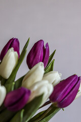 Bouquet of white and purple tulips on a light background. Spring bouquet, March 8, spring, love. Postcard, photo, holiday, presentation.