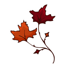 Fototapeta premium Doodle single autumn colors branch with maple leaf. Twig plant, herb. Vector illustration element.