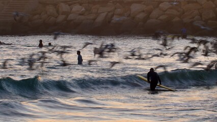 Silhouettes of Surfers Walking on Atlantic Ocean Coast at Sunset in Morocco