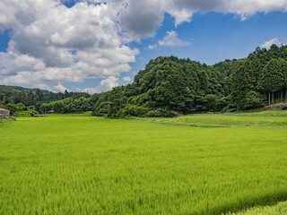 奈良県針ヶ別所町の田園風景