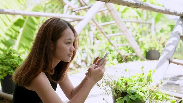 Asian girl sitting holding mobile phone found favorite thing which is beautiful fresh flowers, turn on camera take picture flowers in pot, every time finds flower when goes out rest, take picture it.