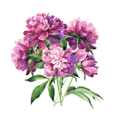Large watercolor bouquet of peonies