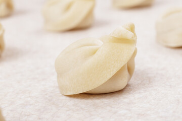 Fototapeta na wymiar Uncooked dumplings on white table closeup. Homemade dumplings. Macro shot.