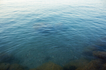 View of the lake Balaton in Siofok,Hungary.