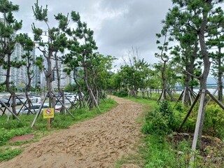 Fototapeta premium 마산 해양 누리 공원