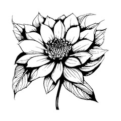 Flower Bud Black and White Linear Drawing Closeup Vector Illustration