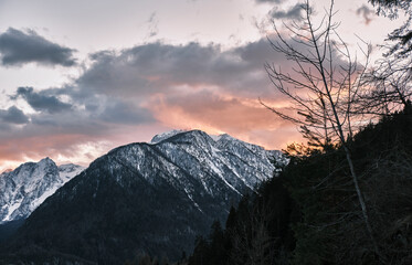 Vrtaska pasture, Mojstrana, Slovenia