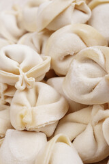 Frozen uncooked dumplings closeup. Macro shot.