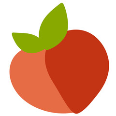 illustration of an peach