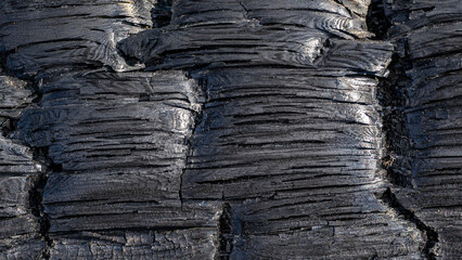 Burnt old wood texture black