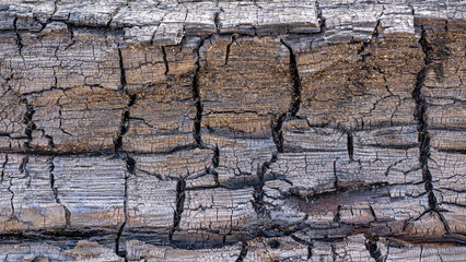 Burnt old wood texture black