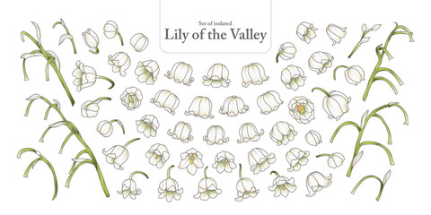 Cute Hand Drawn Isolated Gray