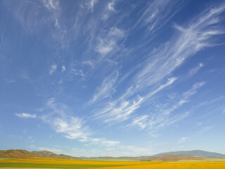 Cirrus uncinus clouds - the first sign of an approaching warm front. The name cirrus uncinus is...